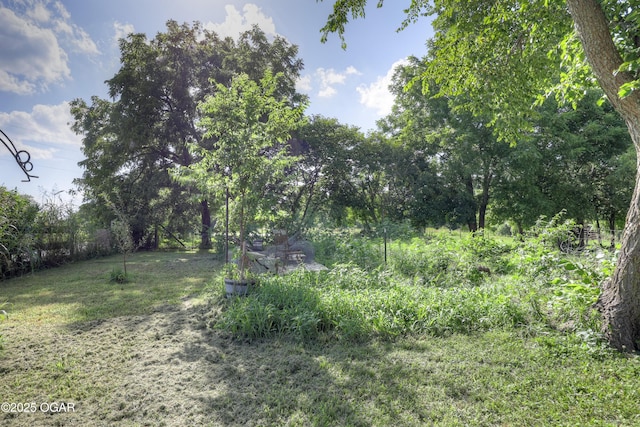 5923 Elm Rd, Reeds, MO 64859 - photo 13