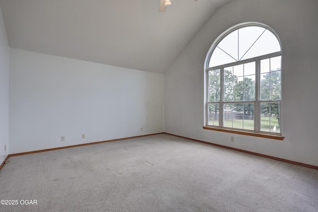 1706 Marigold Dr, Joplin, MO 64801 - photo 28
