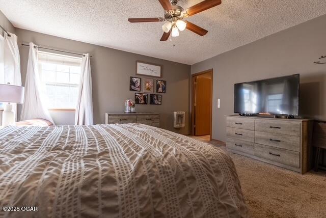 320 N 3rd St, Chetopa, KS 67336 - photo 20