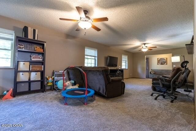 320 N 3rd St, Chetopa, KS 67336 - photo 16