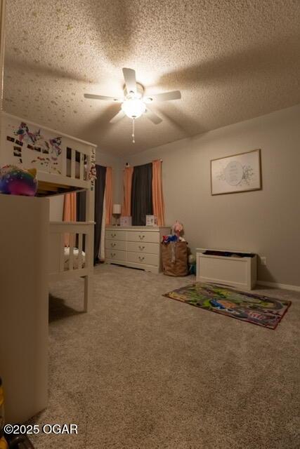320 N 3rd St, Chetopa, KS 67336 - photo 24