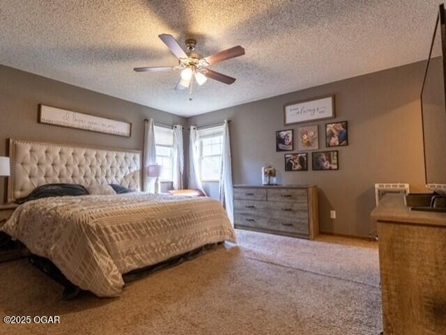 320 N 3rd St, Chetopa, KS 67336 - photo 19