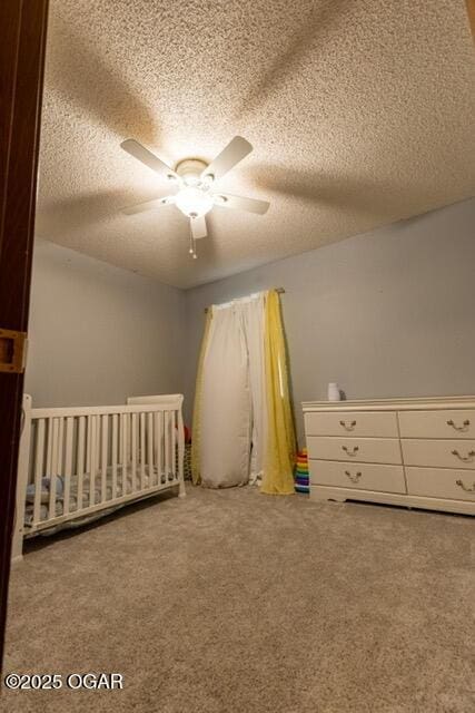 320 N 3rd St, Chetopa, KS 67336 - photo 27