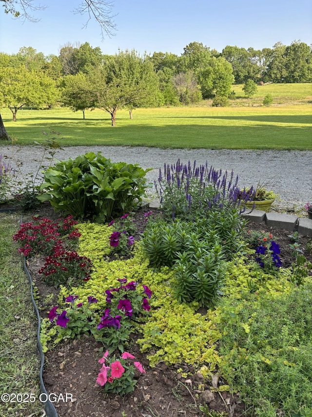 7631 County Road 200, Joplin, MO 64801 - photo 28