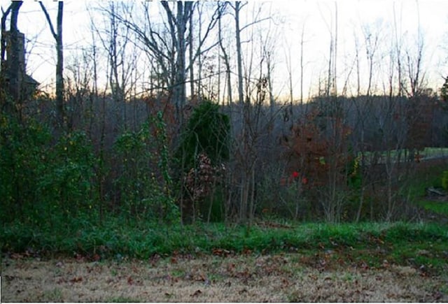 705 Croswell Ct, Whitsett NC, 27377 land for sale