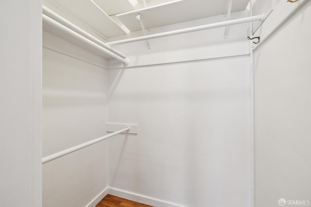 2801 Octavia St Unit 3, San Francisco, CA 94123 - photo 5