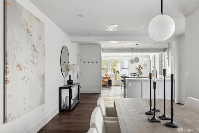 dining room featuring dark wood-type flooring