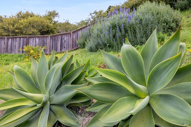 1837 Centro W St, Tiburon, CA 94920 - exterior details with fence