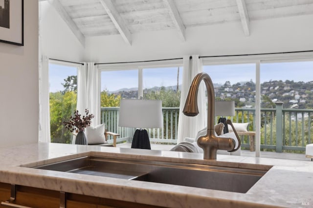 1837 Centro W St, Tiburon, CA 94920 - details featuring light stone counters and a sink