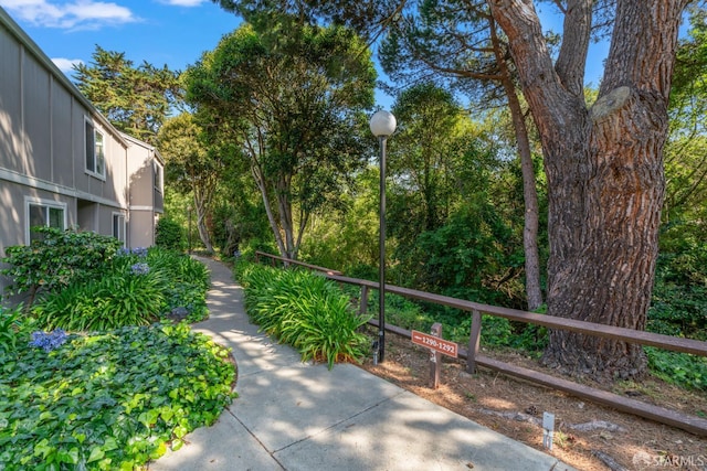 1267 Rosita Rd, Pacifica, CA 94044 - photo 43