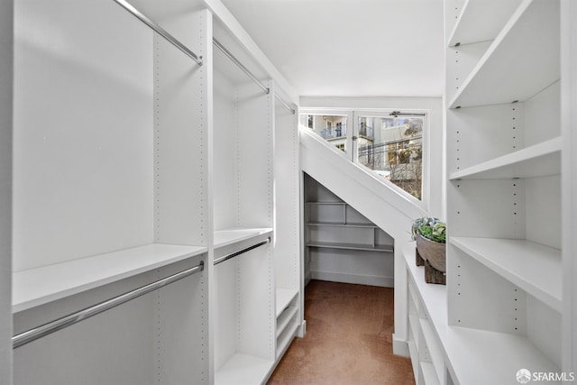 walk in closet featuring carpet floors