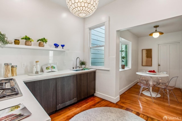 bar featuring sink, dark brown cabinetry, dark hardwood / wood-style floors, and a healthy amount of sunlight