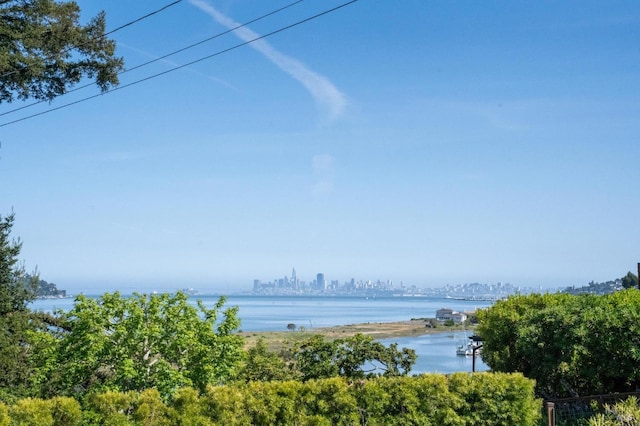 308 E Strawberry Dr, Mill Valley, CA 94941 - water view with skyline