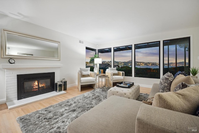 308 E Strawberry Dr, Mill Valley, CA 94941 - living room featuring wood finished floors, a glass covered fireplace, and baseboards