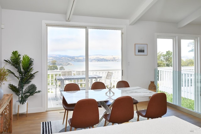 dining space featuring a water view, light hardwood / wood-style floors, beam ceiling, and a wealth of natural light