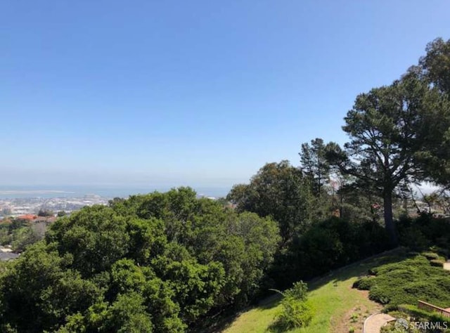 340 Vallejo Dr Unit 71, Millbrae, CA 94030 - photo 41