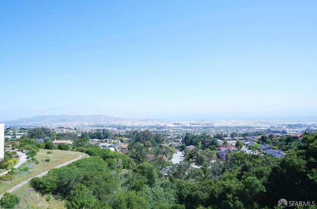 340 Vallejo Dr Unit 71, Millbrae, CA 94030 - photo 42