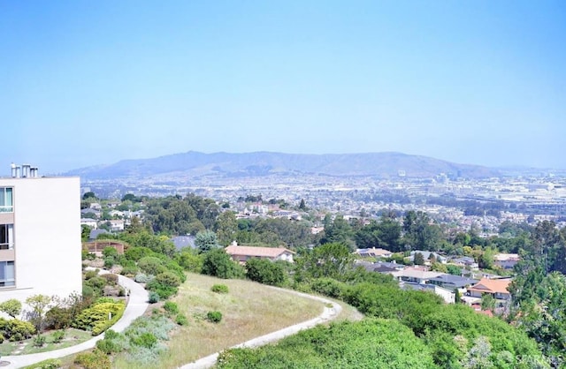 340 Vallejo Dr Unit 71, Millbrae, CA 94030 - photo 43