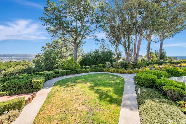 340 Vallejo Dr Unit 71, Millbrae, CA 94030 - photo 37