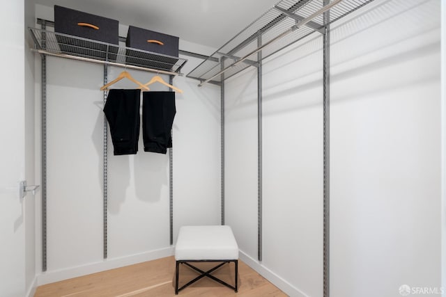 spacious closet with light wood-type flooring