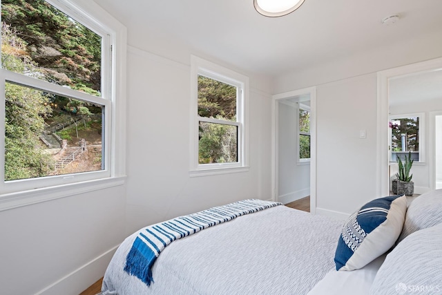 bedroom featuring multiple windows