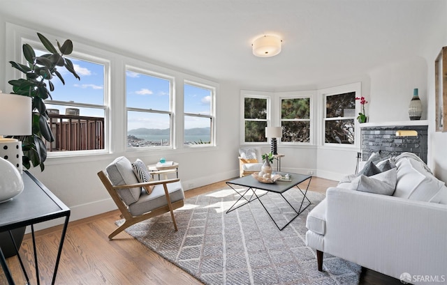 living room with light wood-type flooring