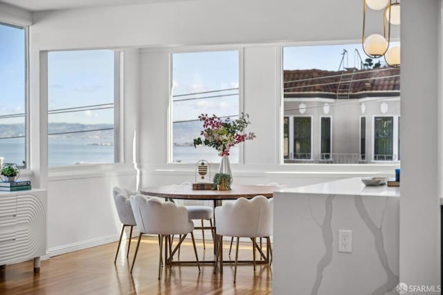 dining space featuring a water view and wood-type flooring