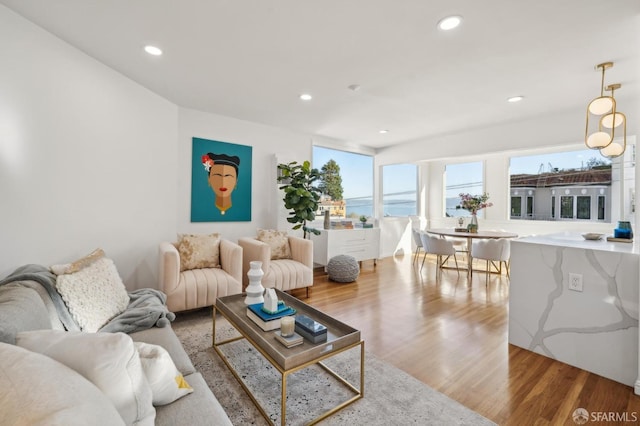 living room featuring wood-type flooring and a water view