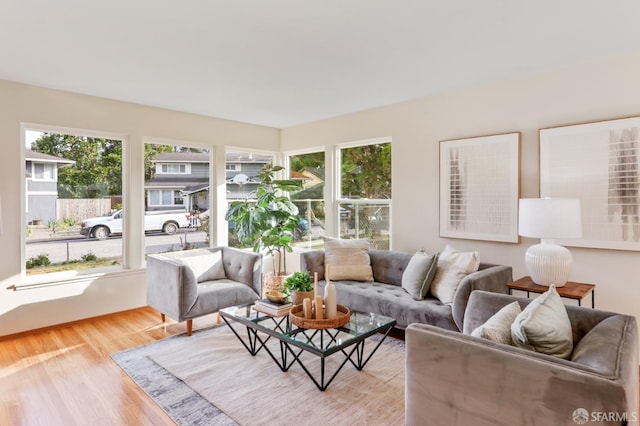 living area featuring wood finished floors