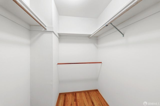 spacious closet featuring wood finished floors