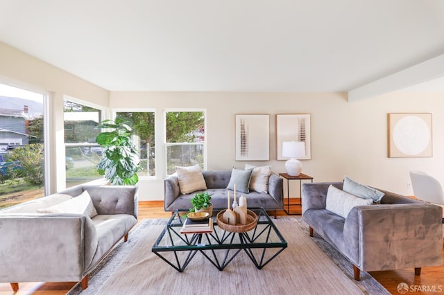 living room with wood finished floors