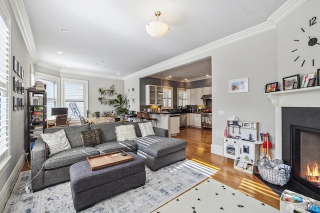 living room with crown molding and hardwood / wood-style floors