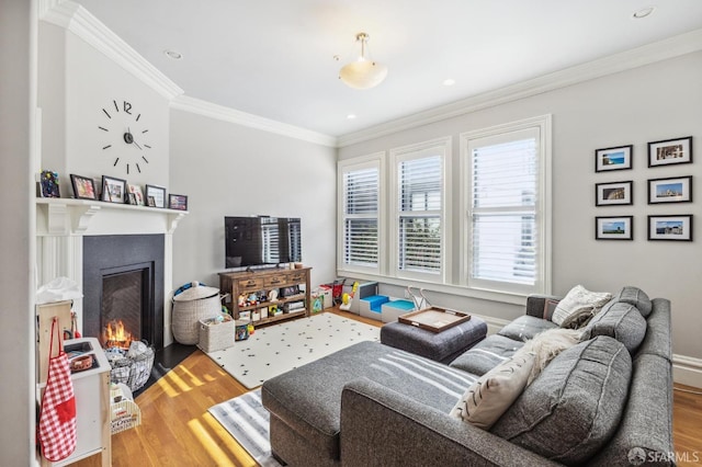 living room featuring hardwood / wood-style flooring and ornamental molding