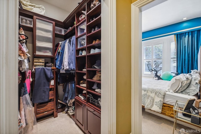 spacious closet featuring light carpet