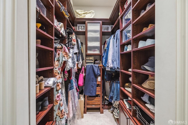 spacious closet with carpet