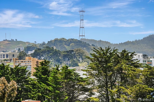 1455 Laguna St Unit 6, San Francisco, CA 94115 - mountain view