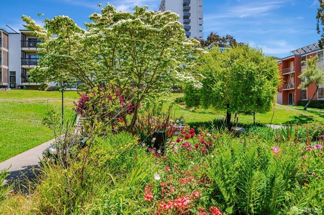 1455 Laguna St Unit 6, San Francisco, CA 94115 - surrounding community with a yard
