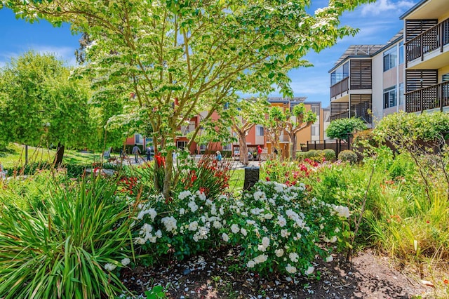 1455 Laguna St Unit 6, San Francisco, CA 94115 - view of property's community