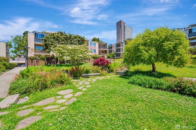 1455 Laguna St Unit 6, San Francisco, CA 94115 - view of home's community featuring a yard