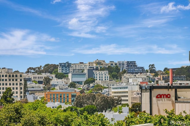 1455 Laguna St Unit 6, San Francisco, CA 94115 - view of city