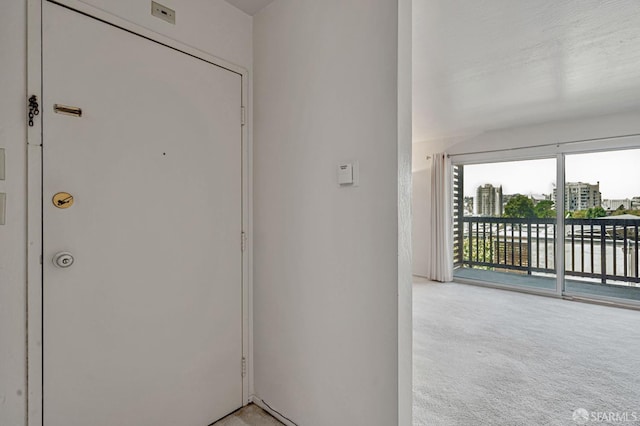 1455 Laguna St Unit 6, San Francisco, CA 94115 - doorway to outside featuring light colored carpet