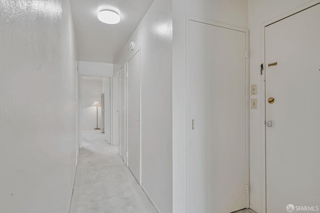 1455 Laguna St Unit 6, San Francisco, CA 94115 - hallway featuring light colored carpet