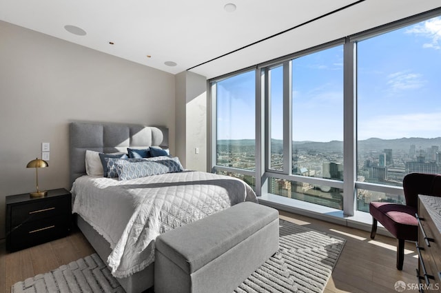 181 Fremont St Unit 55C, San Francisco, CA 94105 - bedroom featuring wood finished floors, a mountain view, and a view of city