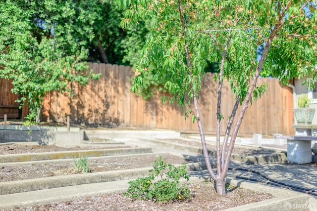 19652 Stanton Ave, Castro Valley, CA 94546 - view of yard