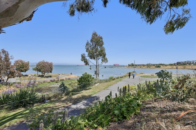 134 Albatross Ct, San Francisco, CA 94124 - water view
