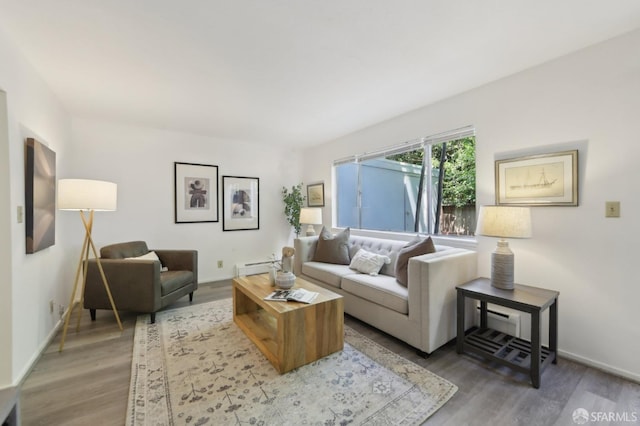 134 Albatross Ct, San Francisco, CA 94124 - living room featuring a baseboard heating unit, wood finished floors, and baseboards