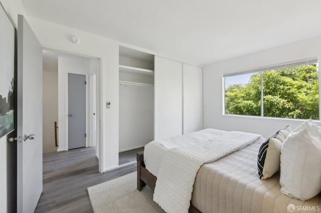 134 Albatross Ct, San Francisco, CA 94124 - bedroom featuring wood finished floors and a closet