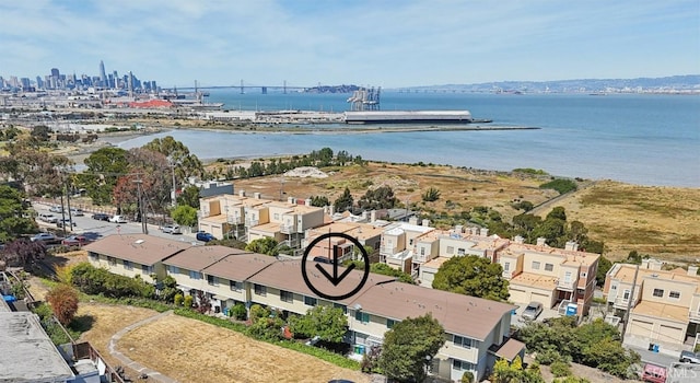 134 Albatross Ct, San Francisco, CA 94124 - drone / aerial view of a large body of water