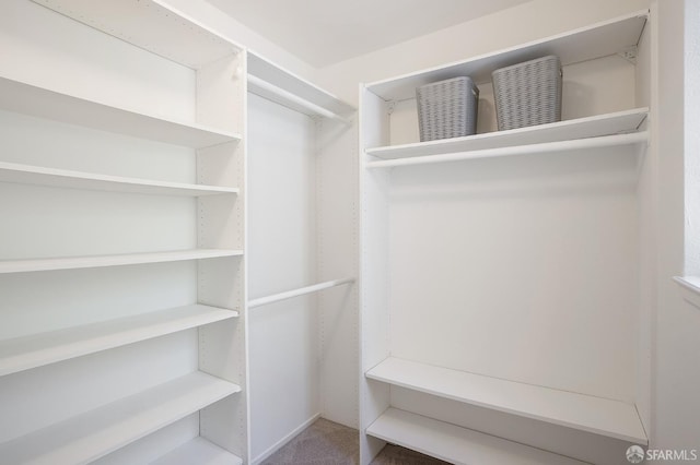 3937 Vine St, Pleasanton, CA 94566 - spacious closet featuring carpet flooring