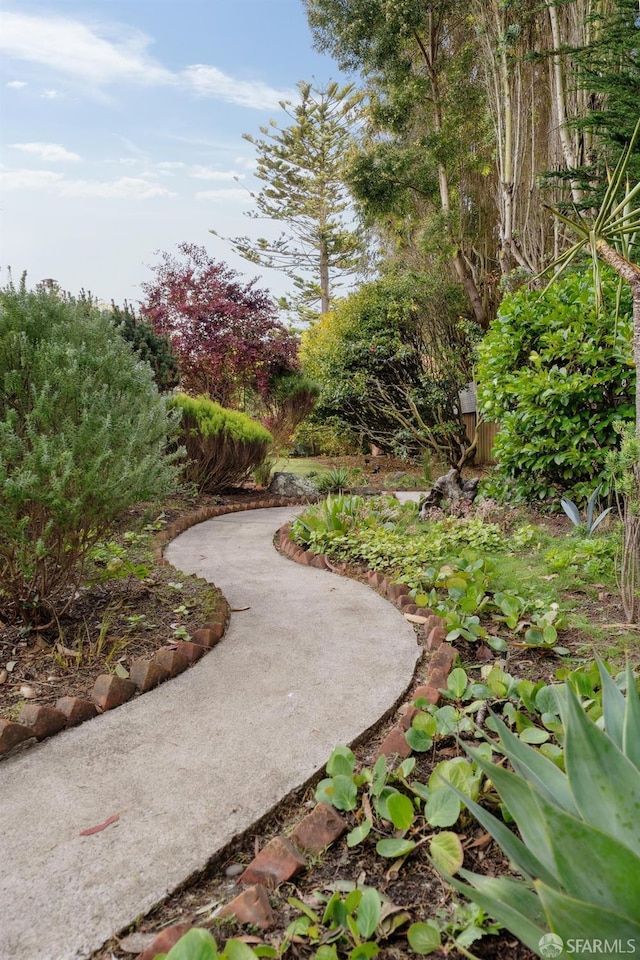 view of property's community with a patio